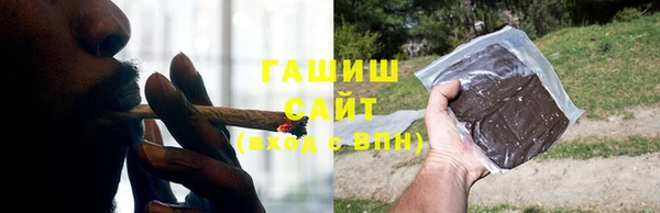 индика Анжеро-Судженск