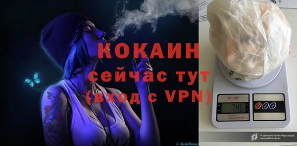 индика Анжеро-Судженск
