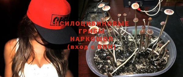мдпв Апатиты