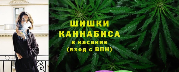 мдпв Апатиты