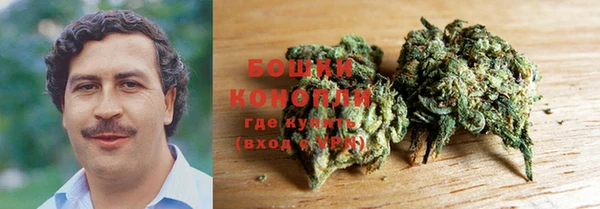 индика Анжеро-Судженск